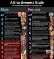 Attractiveness Scale - Male - Female.jpg