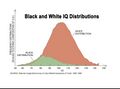 Black and White IQ Distributions.jpg