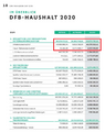 DFB-Finanzbericht 2020.png