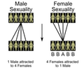 Hypergamy - Male Sexuality vs. Female Sexuality.svg