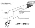 Illusion of free choice.jpg