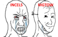 Incels view of MGTOW.png
