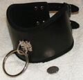 Leather posture collar with O-ring.jpg