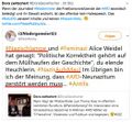 Robert Niedermeier - Tituliert Alice Weidel als Nazischlampe.jpg
