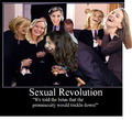Sexual Revolution - We told the betas that the promiscuity would trickle down.png