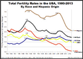 Total Fertility Rates by Race in the USA - 1980-2013.png