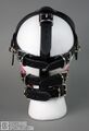 Ttb-muzzle-harness-002.jpg