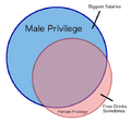 Venn diagram - Male Privilege - Female Privilege.png
