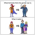 What Feminists Think The Gender War Is and What It Really Is.jpg