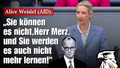 Alice Weidel - Sie koennen nicht Kanzler Herr Merz und Sie werden es auch nicht mehr lernen.webp
