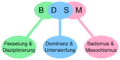 BDSM Akronym.svg