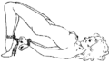 Basic Rope Hogtie - Part 2.png