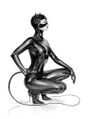 Catwoman (Ray Leaning).jpg