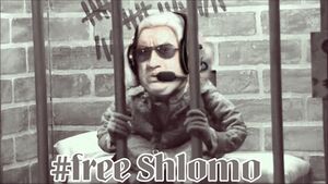 Free Shlomo Finkelstein.jpg