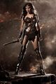 Gal Gadot as Wonder Woman.jpg