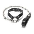 Halter collar with leash.jpg