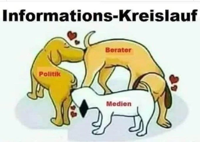 File:Informationskreislauf - Berater-Politik-Medien.webp