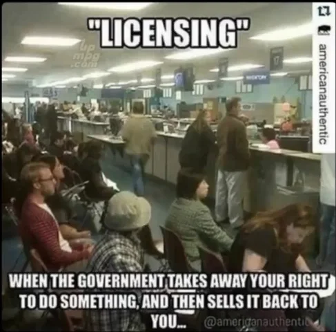 File:Licensing meme.webp
