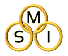 Logo - MSI.png