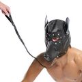 Man with doggie-hood on leash.jpg