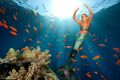 Mermaid Melissa under water.jpg