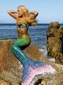 Mermaid takes a sunbath.jpg