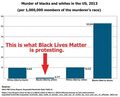 Murder and Race in the United States in 2013.jpg