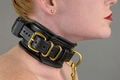 Obedience Shock Collar with Remote Control.webp