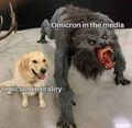 Omicron in reality and in the media.jpg