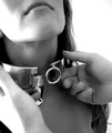 Putting on a Collar.webp