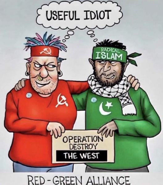 File:Red-Green Alliance.webp