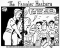 Redpill Comics - The Females Hasbara.jpg