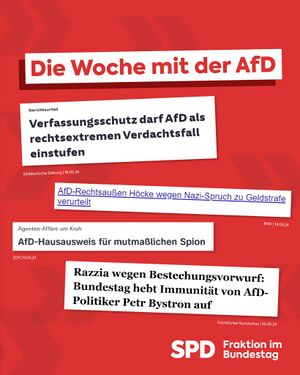 SPD - Fraktion im Bundestag - Die Woche mit der AfD.jpg