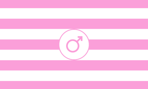 File:Sissy pride flag.svg