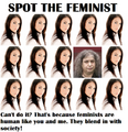 Spot the Feminist.png