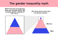 The Gender Inequality Myth.png
