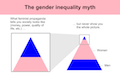 The Gender Inequality Myth.svg
