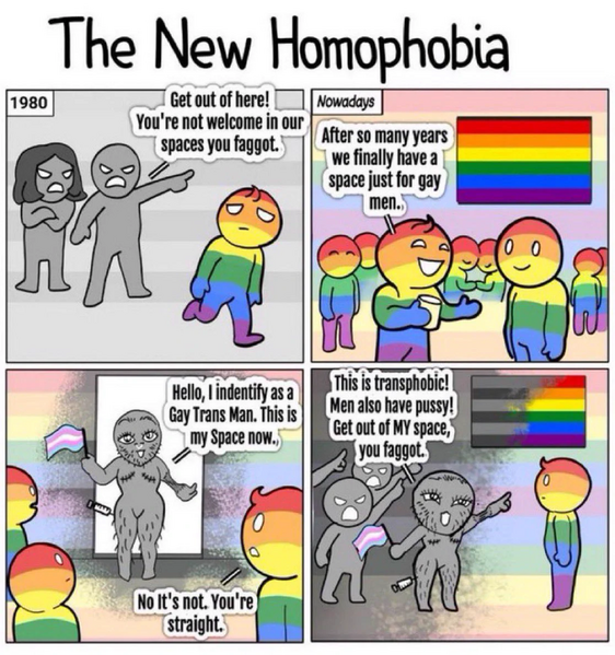 Datei:The New Homophobia.webp