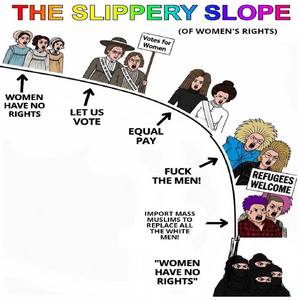 The Slippery Slope of Women's Rights.webp