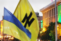 Ukrainian flag and Wolfsangel.png