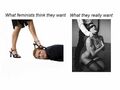 What Women want and what Feminism Think they want.jpg