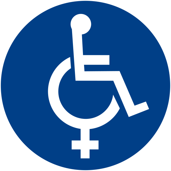 File:Wheelchair for women's empowerment.svg