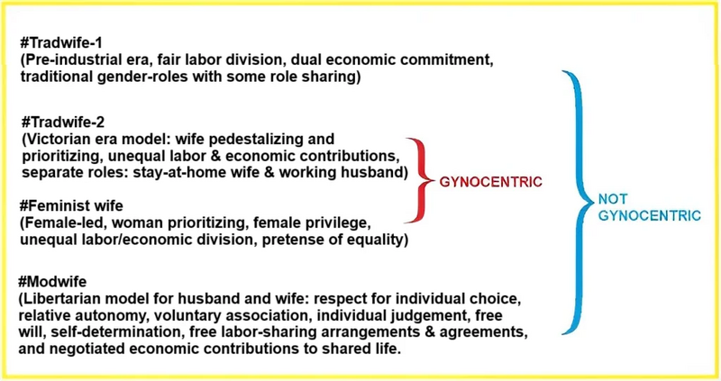 File:Wifey Model 4.webp