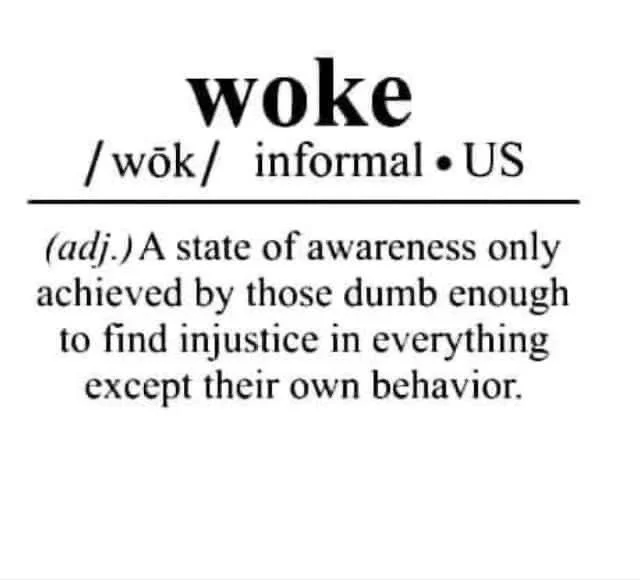 Datei:Woke - A Definition.webp